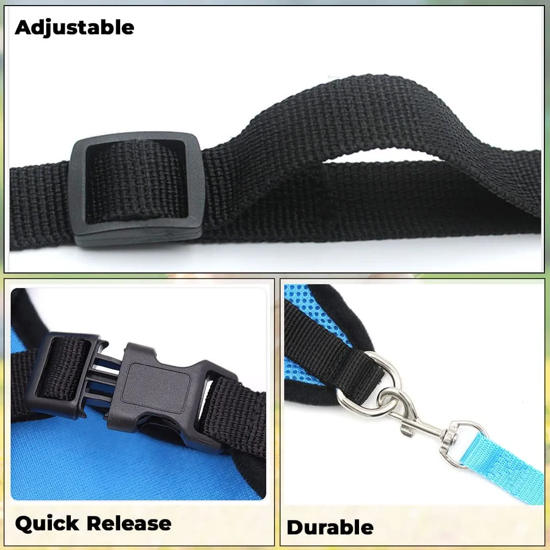 Kuber Industries Reflective Dog Harness with Adjustable Leash|Breathable Polyester Mesh Fabric with Top Carry Handle|Large Size|HAT-818|Comfortable No-Pull Grip|Quick Release Buckles|Blue (Pack of 2)