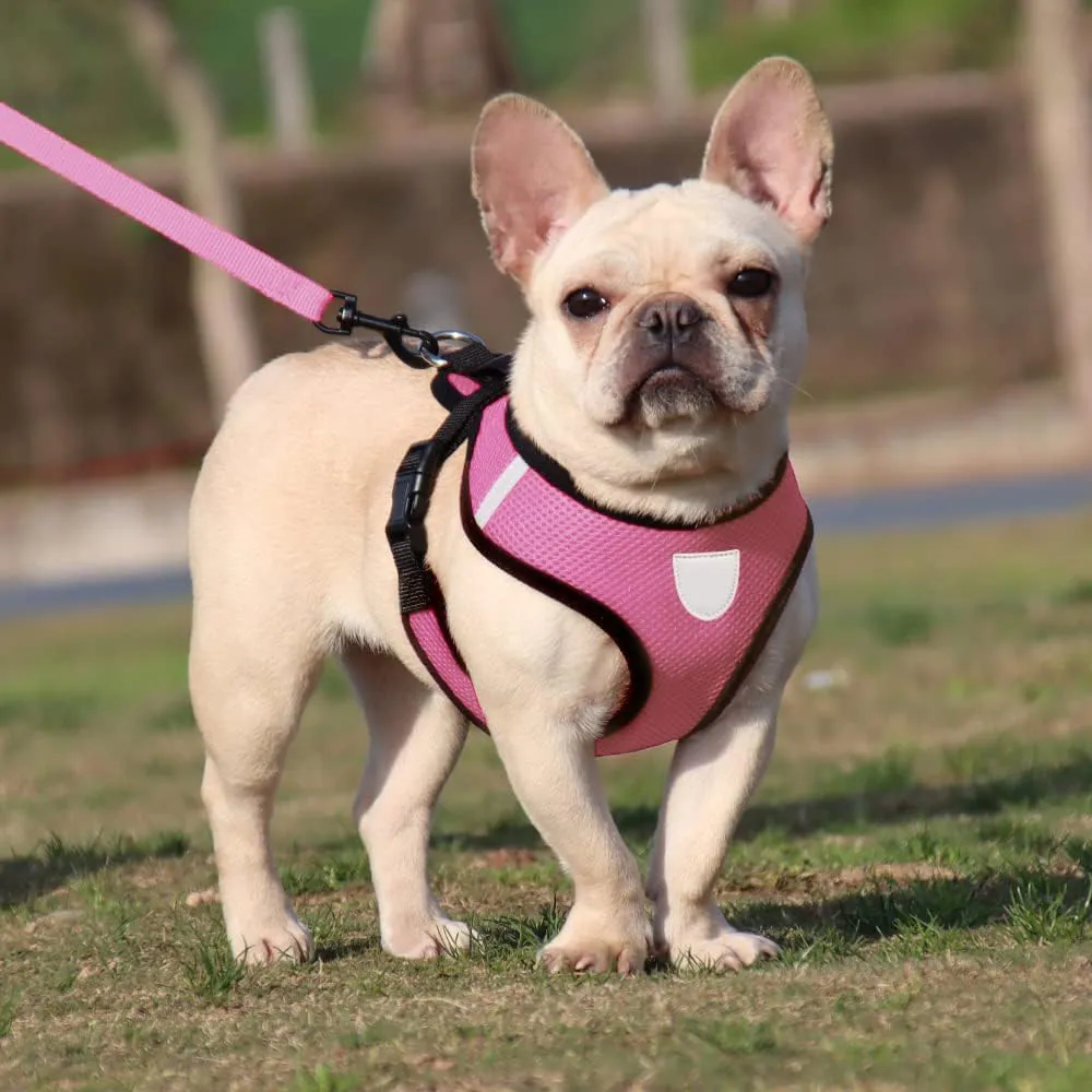 Kuber Industries Reflective Dog Harness with Adjustable Leash|Breathable Polyester Mesh Fabric with Top Carry Handle|Large Size|HAT-818|Comfortable No-Pull Grip|Quick Release Buckles|Pink (Pack of 5)