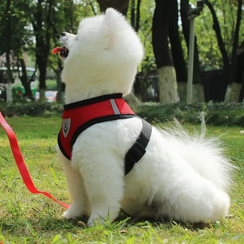 Kuber Industries Reflective Dog Harness with Adjustable Leash|Breathable Polyester Mesh Fabric with Top Carry Handle|Large Size|HAT-818|Comfortable No-Pull Grip|Quick Release Buckles|Red (Pack of 5)