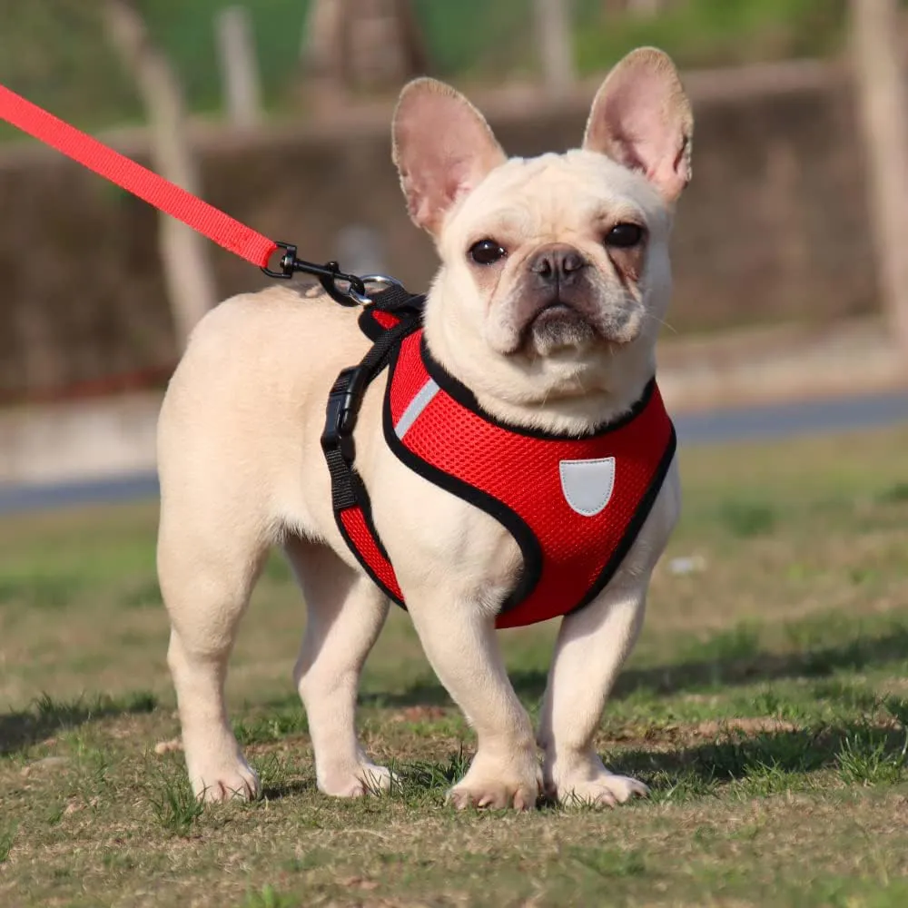 Kuber Industries Reflective Dog Harness with Adjustable Leash|Breathable Polyester Mesh Fabric with Top Carry Handle|Large Size|HAT-818|Comfortable No-Pull Grip|Quick Release Buckles|Red (Pack of 5)