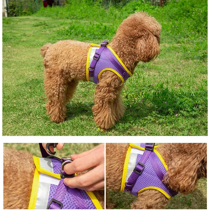 The Reflective Step-In Pet Harness and Leash Set