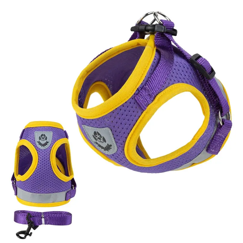 The Reflective Step-In Pet Harness and Leash Set